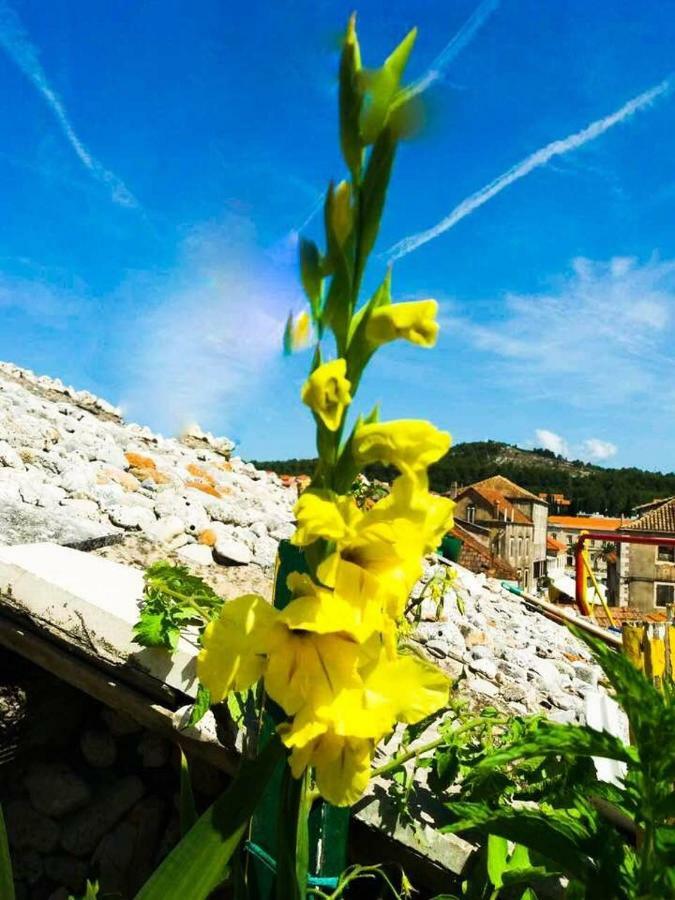 Guest House San Nikola Stari Grad  Εξωτερικό φωτογραφία