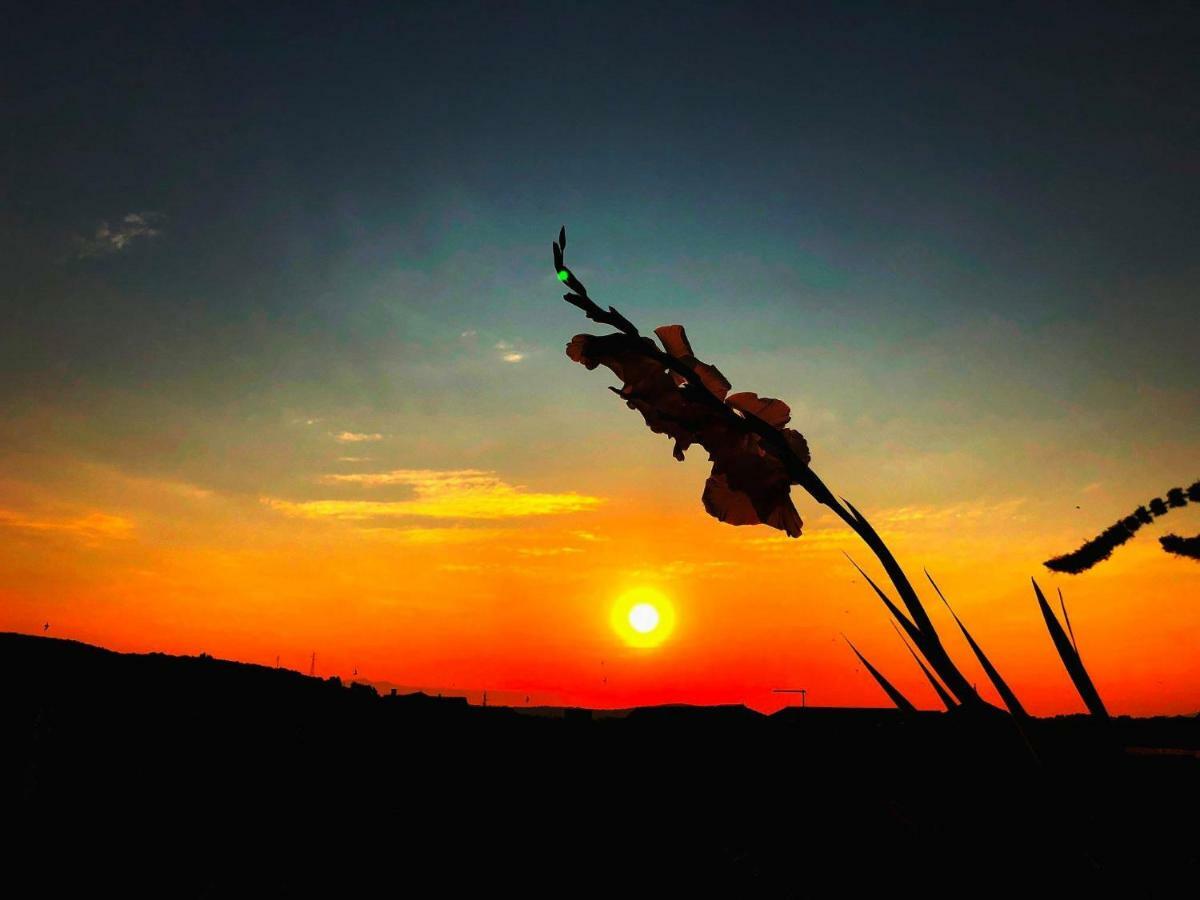 Guest House San Nikola Stari Grad  Εξωτερικό φωτογραφία