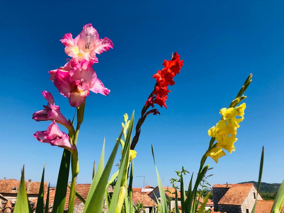 Guest House San Nikola Stari Grad  Εξωτερικό φωτογραφία